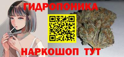 ALPHA PVP Беслан