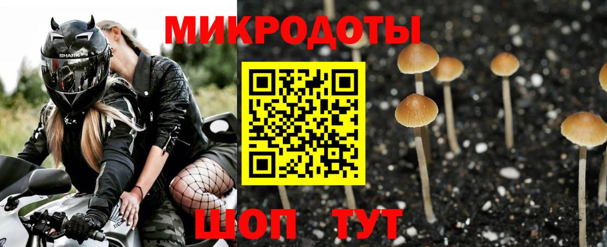 Псилоцибиновые грибы Psilocybe  Вход с VPN  Вязьма 